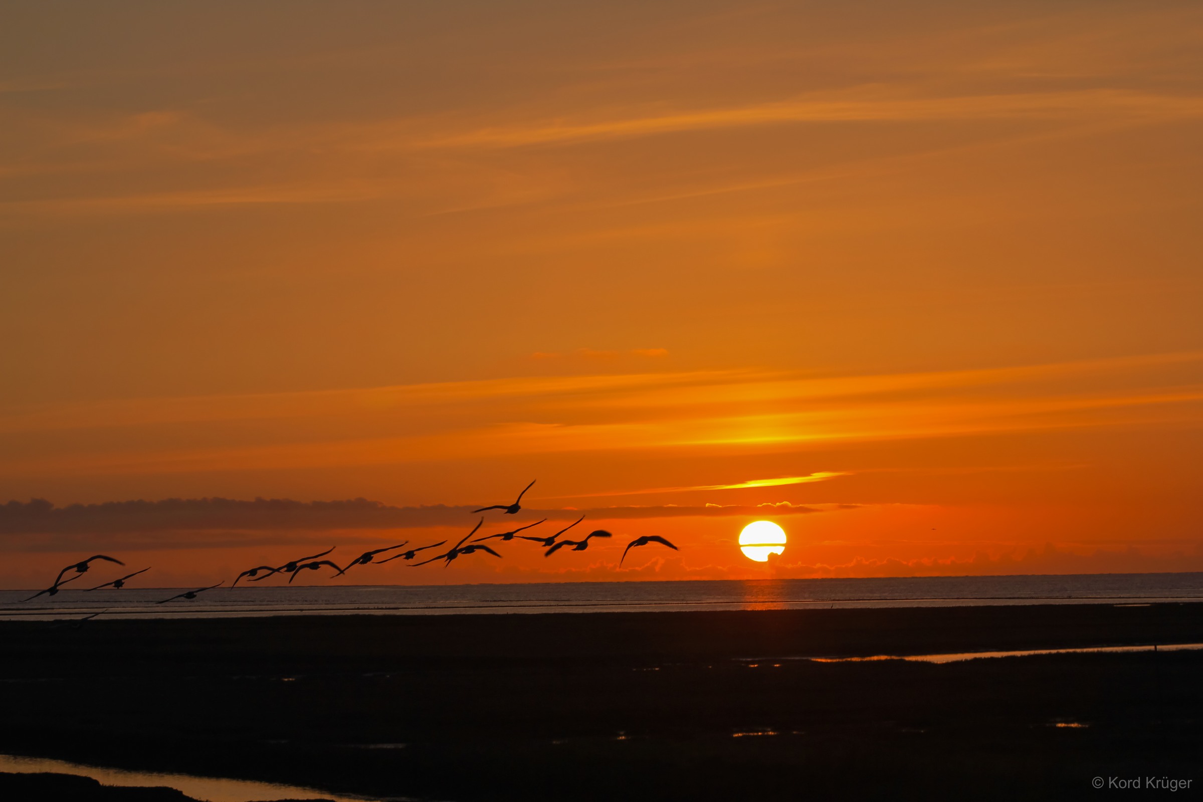 Vögel fliegen als dunkle Silhouetten über eine flache Küstenlandschaft vor einer tief stehenden Sonne und orangefarbenem Himmel.