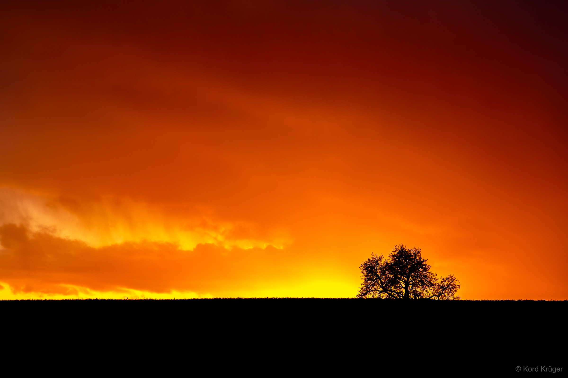 Orange und gelb leuchtende Wolken liegen über einem dunklen Horizont mit der Silhouette eines Baumes.