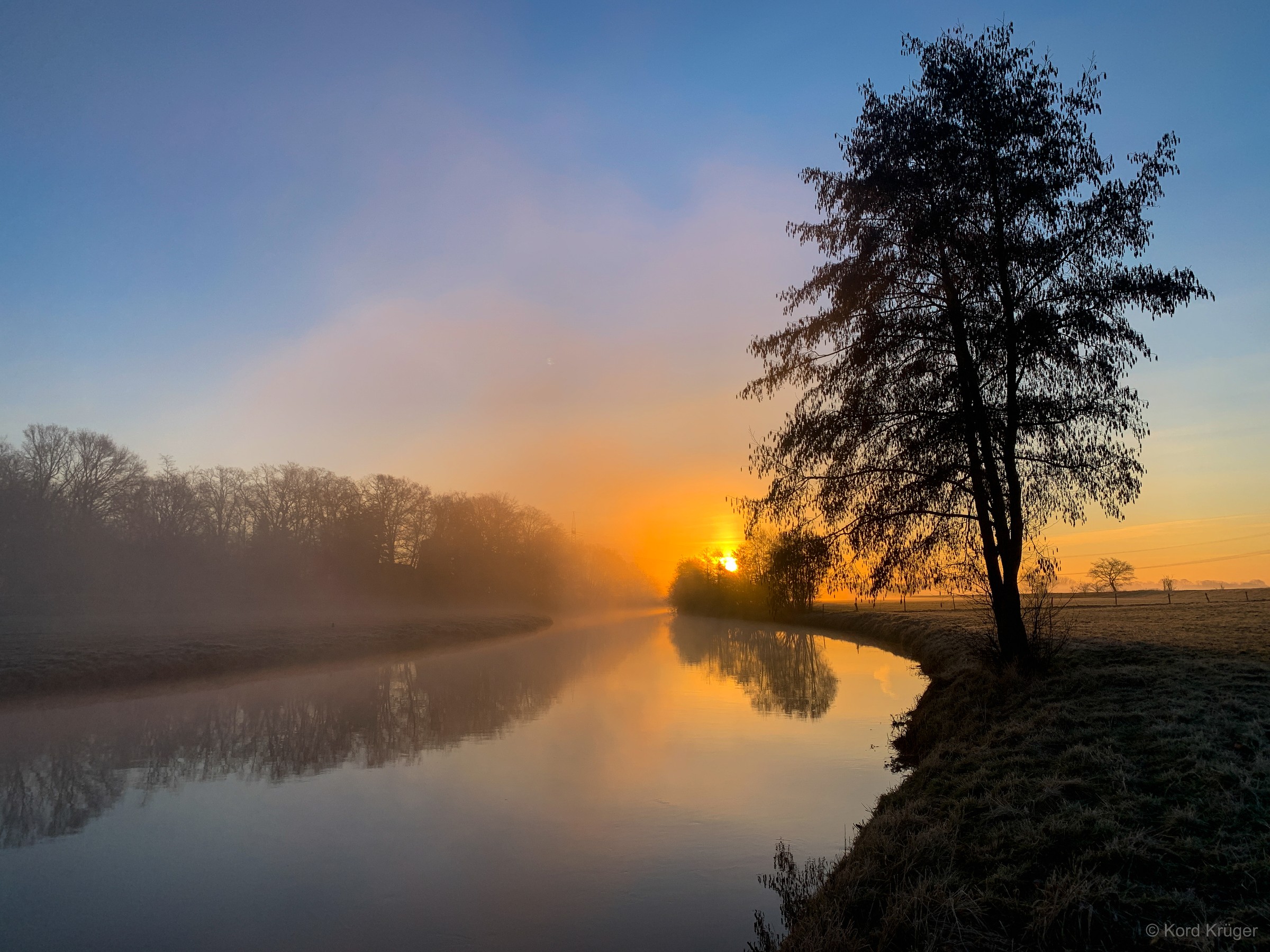 Ein einzelner Baum steht am Ufer eines ruhigen Gewässers, während tiefes goldenes Licht durch Nebel fällt.