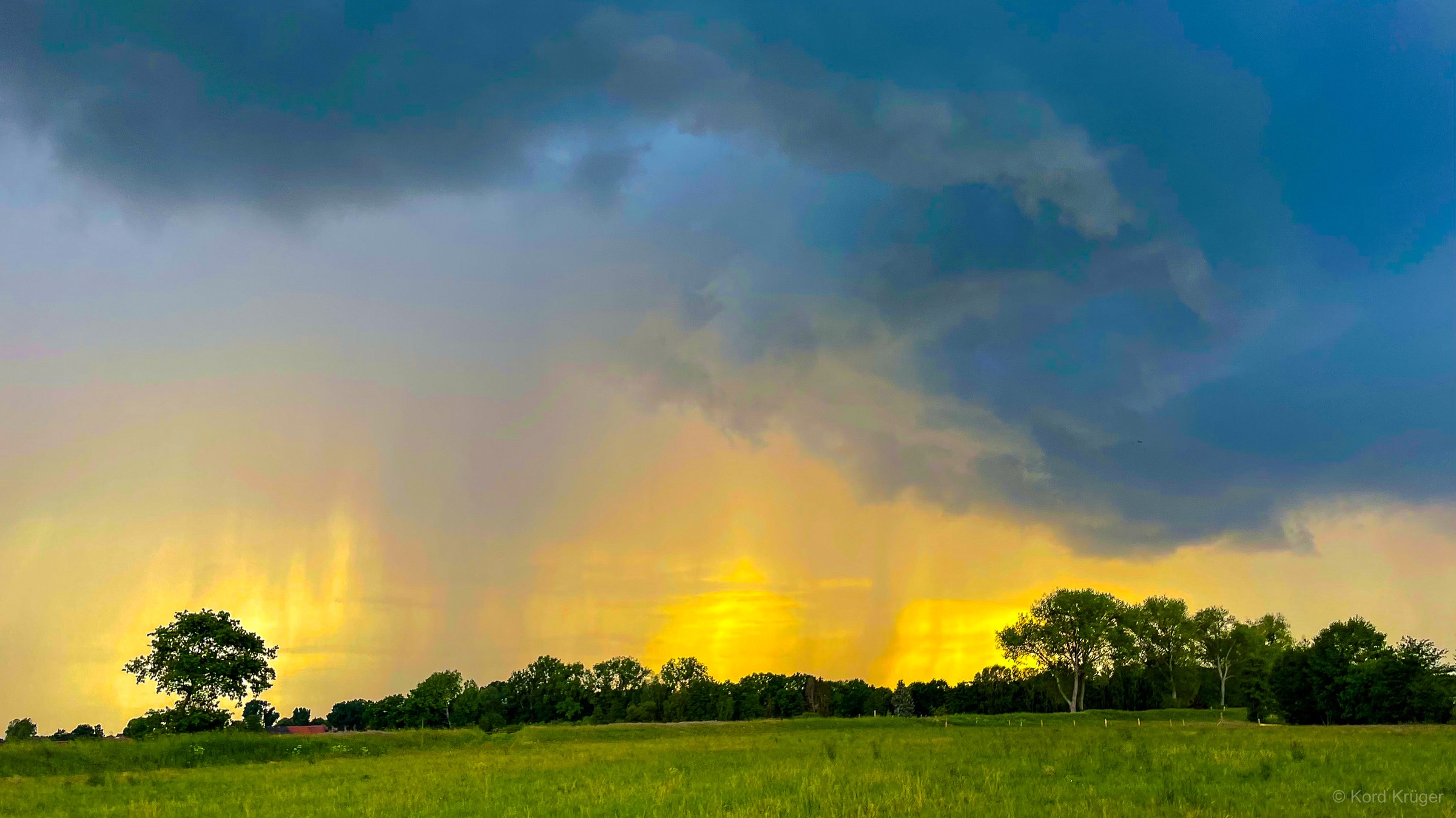 Goldenes Licht fällt unter dunklen Wolken über eine grüne Wiese mit einzelnen Bäumen und sichtbaren Regenschleiern.