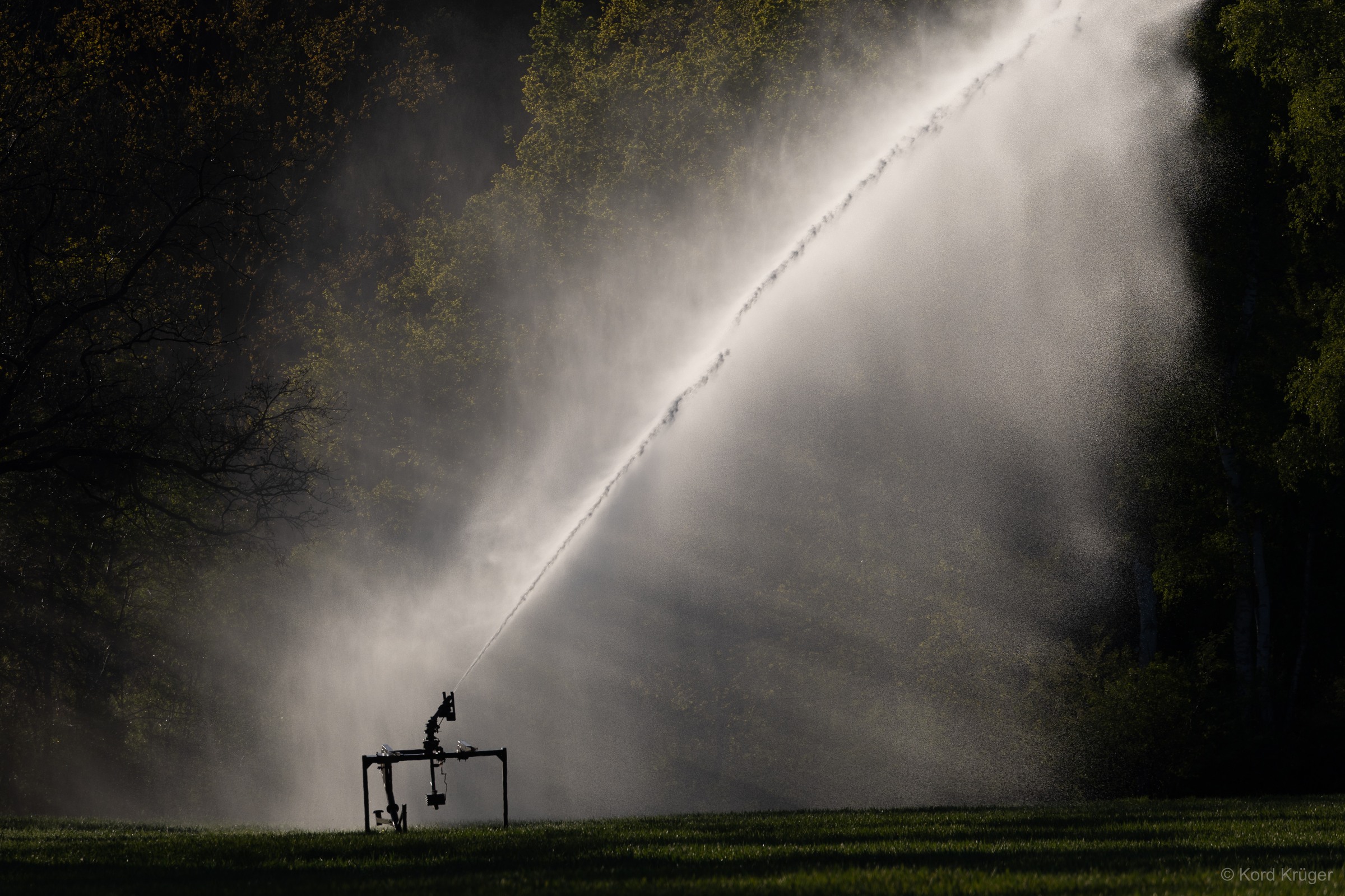 Ein Beregnungsgerät wirft einen schrägen Wasserstrahl über eine Wiese, dessen Sprühnebel hell vor dunklen Bäumen leuchtet.